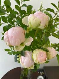 戸田恵子『おめでとう！』