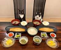 藤あや子『昨日の晩ごはん』