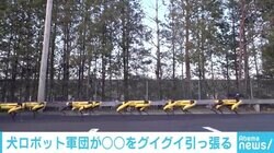 犬型ロボット軍団が引っ張っているのは？ ボストン・ダイナミクスの最新動画が話題