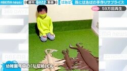 「おばあ様天才」孫のために古代生物を作った祖母 触腕まで丁寧に製作したぬいぐるみにネット民ほっこり