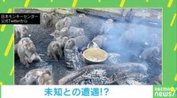 未知との遭遇？ポンポンと弾ける食べ物に夢中なサルたちが可愛い
