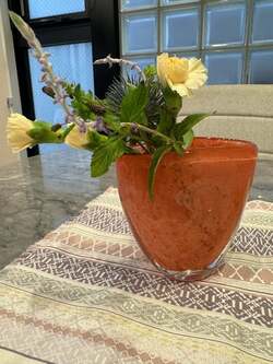  堀ちえみ、夫の目が真っ赤になり病院へ「結膜下出血とのこと」 