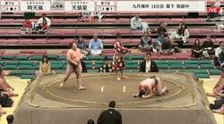 「さすがにうるさい」「すごい声の人いる」幕下の取組で客席から"奇声" 熱戦の最中に響く叫び声にファン困惑