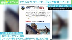 増える政府の“SNS外交”と炎上リスク 若新雄純氏「炎上の大半は“やりとり”の中で生まれる」