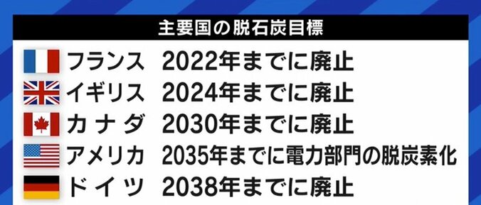 この冬、首都圏では電力危機の可能性も?…脱石炭と脱原発、目標達成は本当に可能なのか 9枚目