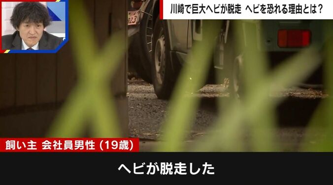 飼い主 会社員男性（19）が通報