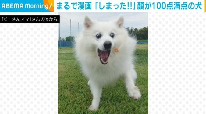 楽くん