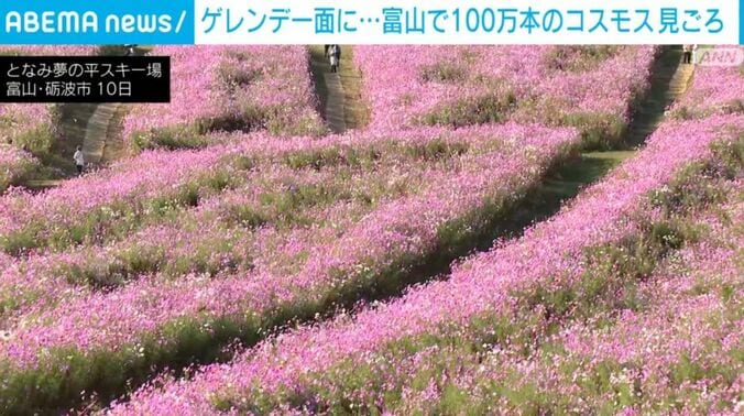 となみ夢の平スキー場