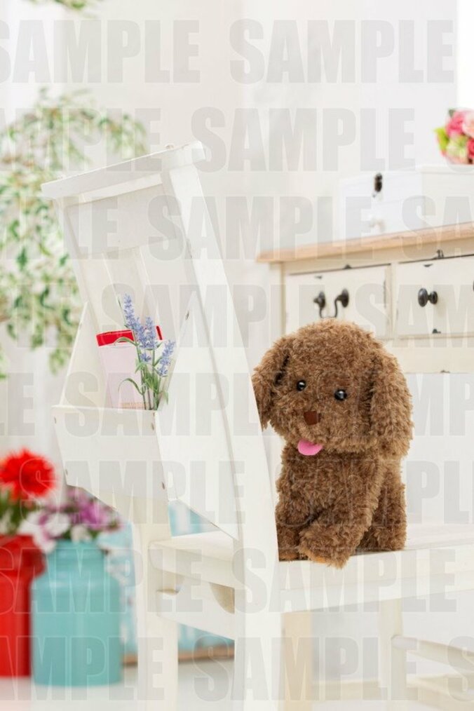 ふわもこに癒される！ TVアニメ『ユーリ!!! on ICE』ヴィクトルの愛犬「マッカチン」等身大ぬいぐるみ登場　勝生勇利の愛犬「ヴィっちゃん」も同時発売 6枚目