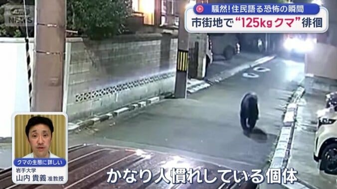 「街中を初めて体験した個体ではない」