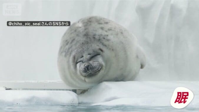 まったりゴロゴロ