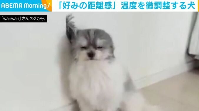 「もじゅ」くん