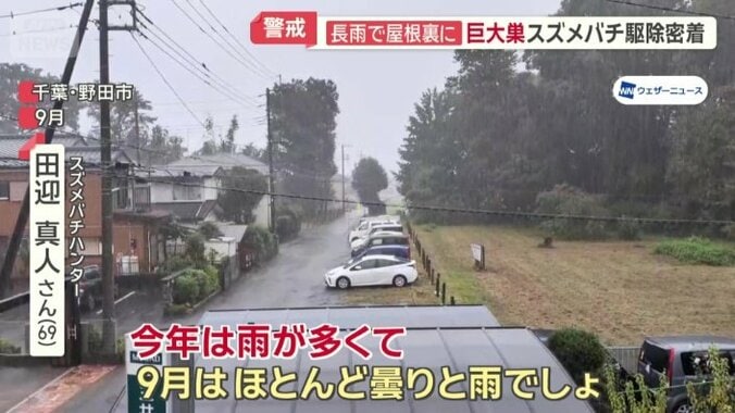 今年は涼しく雨を防げる屋根裏が絶好の場所に