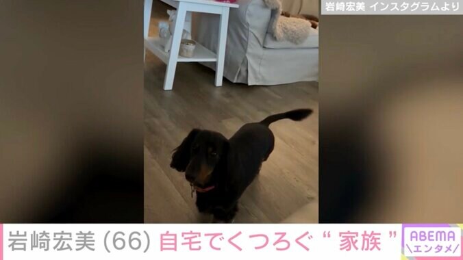 【写真・画像】岩崎宏美（66）、広々とした自宅リビングでくつろぐ愛犬の様子を披露　2枚目