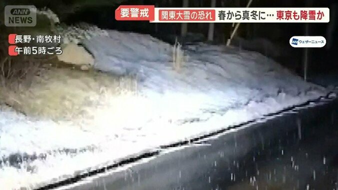 芝生の上にうっすらと積もる雪　長野・南牧村