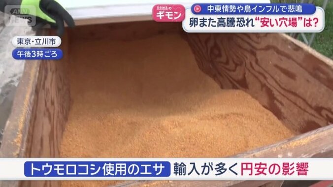 トウモロコシ使用のエサは輸入が多く円安の影響