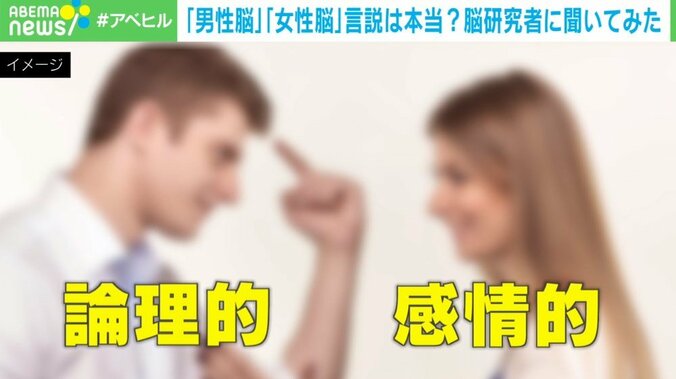 「男性脳」「女性脳」言説は本当？脳研究者「安直な二元論は避けて」脳構造の“男女差”は認知・行動の差に直結せず 1枚目