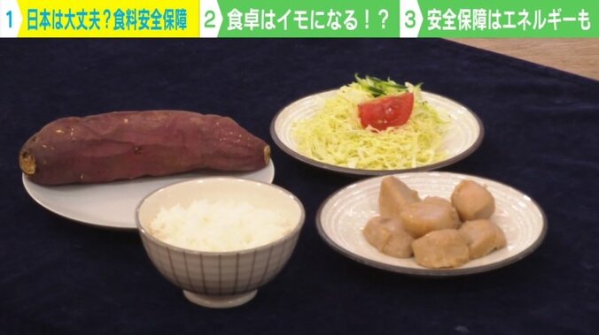 ウクライナ侵攻で「食料危機」も 専門家が日本の現状に警鐘「脆弱性が明確で見直しが必要」 1枚目