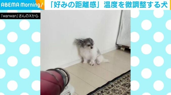 「もじゅ」くん