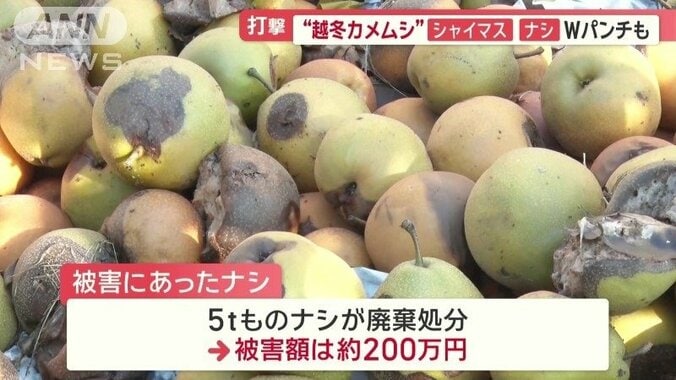 被害額は200万円に上る