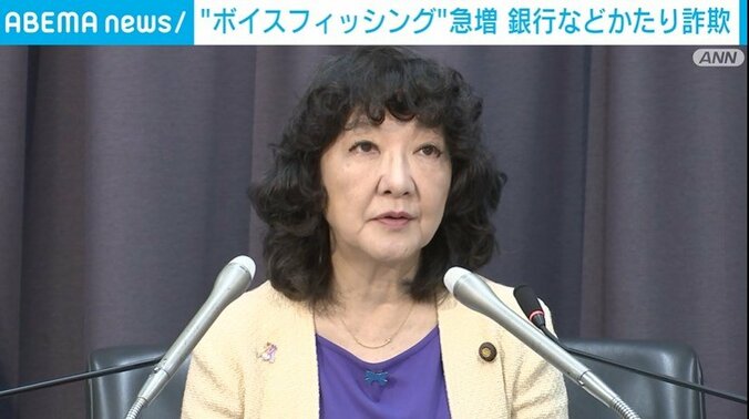 注意喚起する片山金融担当大臣