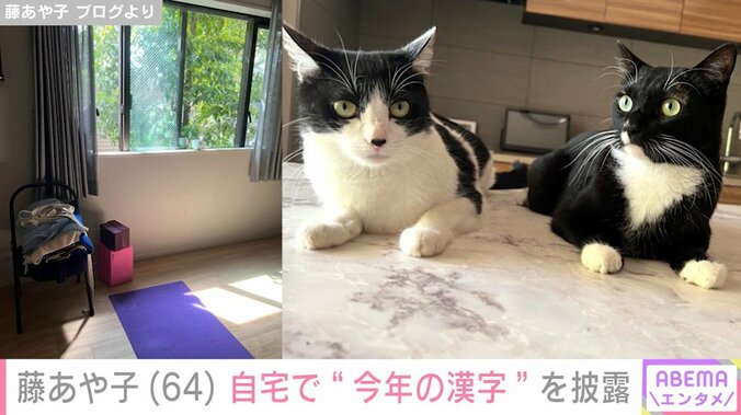 自宅のヨガルームや愛猫が写る大理石のキッチン