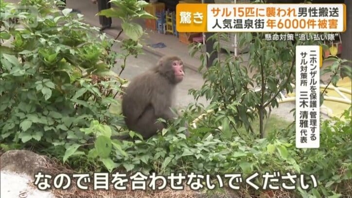 「できるだけ後ずさりしながら逃げる」