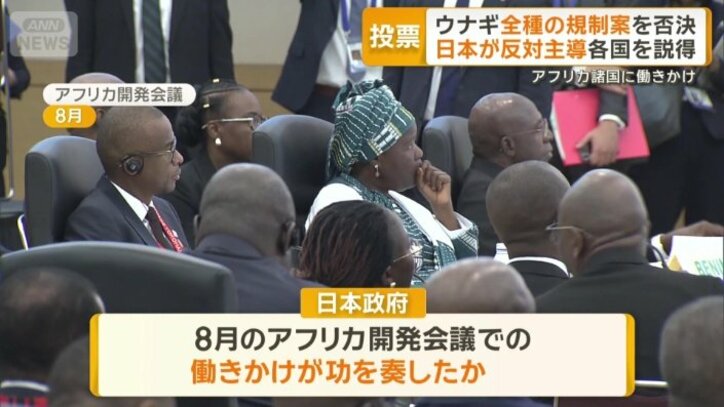 アフリカ諸国への働きかけが功を奏したか