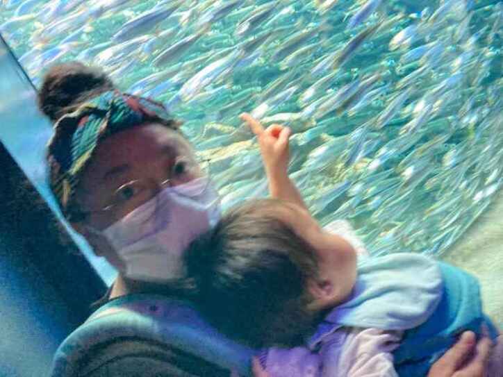  ニッチェ・江上、息子が初めての水族館で大興奮「貴重な1日になりました」 