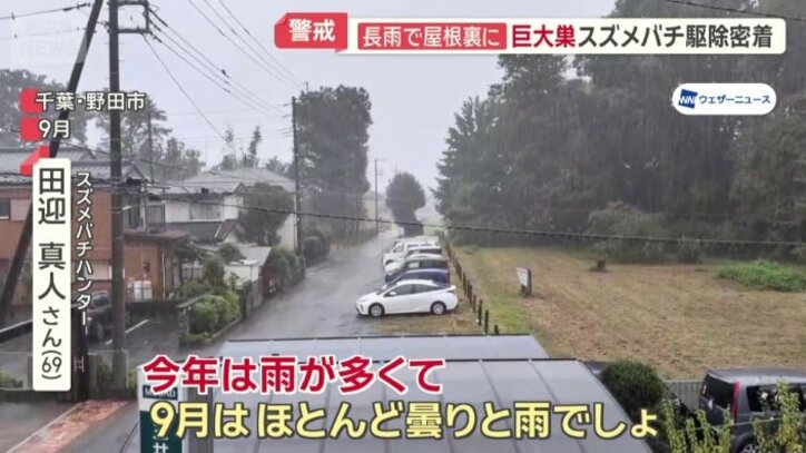 今年は涼しく雨を防げる屋根裏が絶好の場所に
