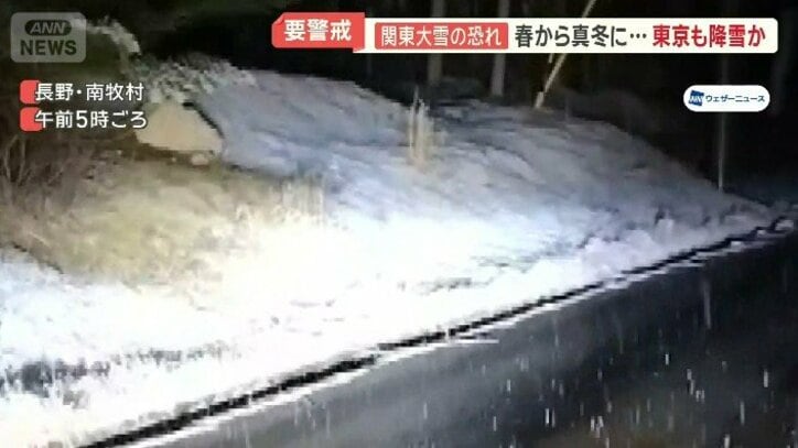 芝生の上にうっすらと積もる雪　長野・南牧村