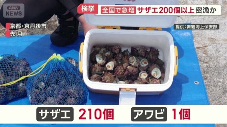 サザエ210個、アワビ1個が