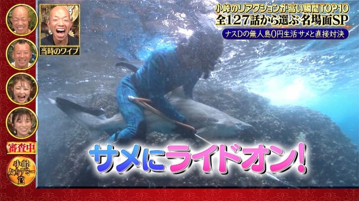 「サメ側が襲われるジョーズw」ナスDvsサメの衝撃映像に視聴者驚愕! バイきんぐ小峠「映画だよなぁ」