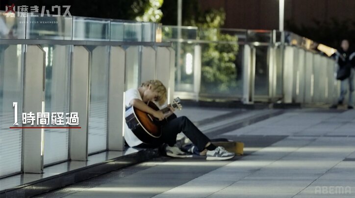 【写真・画像】　2枚目