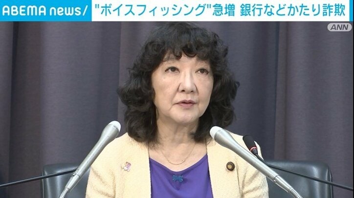 注意喚起する片山金融担当大臣