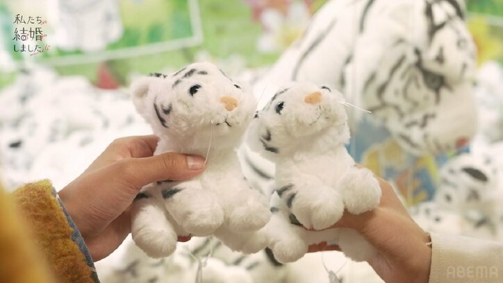 瀬戸利樹、クレーンゲームが上手すぎて妻・紺野彩夏が驚き！スタジオも「マジ？」「まさかの特技」『私たち結婚しました4』第4話