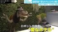 「変なホテル」のコンシェルジュロボに“盗撮”の危険性あった、3カ月前に「脆弱性」指摘