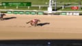 フォーエバーヤング、米G1快勝で秋再始動！ ジョッキークラブゴールドC制し総獲得賞金“50億”の大台突破