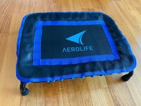 薬丸裕英『コロナ太り』