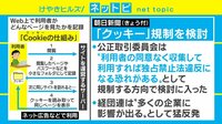【動画】“クッキー”の規制を公正取引委員会が発表