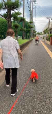 北山みつき『電動自転車で転倒した母』