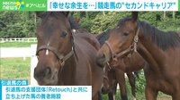 「幸せな余生を・・・」競走馬の “セカンドキャリア”
