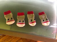 野沢直子『犬用のソックス。笑笑』