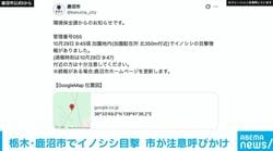 栃木・鹿沼市でイノシシ目撃 市が注意呼びかけ