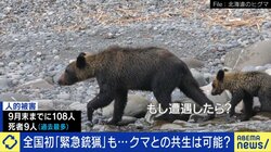 「人を食べる習慣を持つクマが増えている」全国的に増えるクマの人的被害「明らかに局面は変わった」と識者 市街地中心部、マンションや地下鉄駅前にも出没