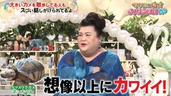 マツコ、巨大カメの散歩シーンにメロメロ「想像以上にかわいい」