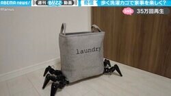 超便利な“家電ロボ”登場！ 「歩く洗濯カゴ」の高い実用性とクセ強めな動きがお茶目すぎて話題に
