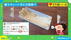 クマが力士に!?パウンドケーキの思わぬ“ビジュアルの変化”に「スーパー銭湯で砂風呂を満喫してる画に見えます」と反響