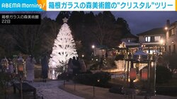 箱根ガラスの森美術館の“クリスタル”ツリー
