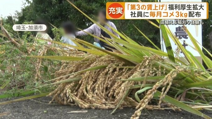 田植えや稲刈りを手伝う研修